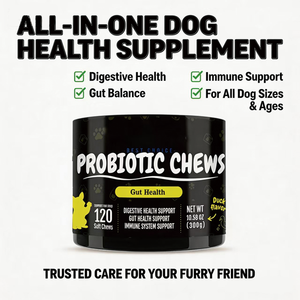 Suplemento Masticable Probiótico Orgánico Natural OEM para <span class=keywords><strong>Perros</strong></span>, Apoya la Salud Digestiva e Inmunológica, Absorción Rápida, Cuidado de la Salud de las Mascotas - Product Image 5
