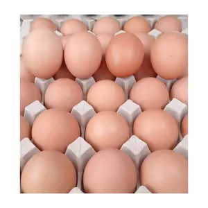 100% huevos de mesa puros/marrón y blanco, al por mayor, 100% blanco puro de calidad natural // pollo fresco al por mayor