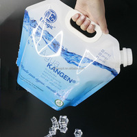 Pochettes souples personnalisées 1L 3L 5L 10L sans BPA, transparentes, avec bec verseur, pliables, en plastique alimentaire pour le stockage de l'eau potable