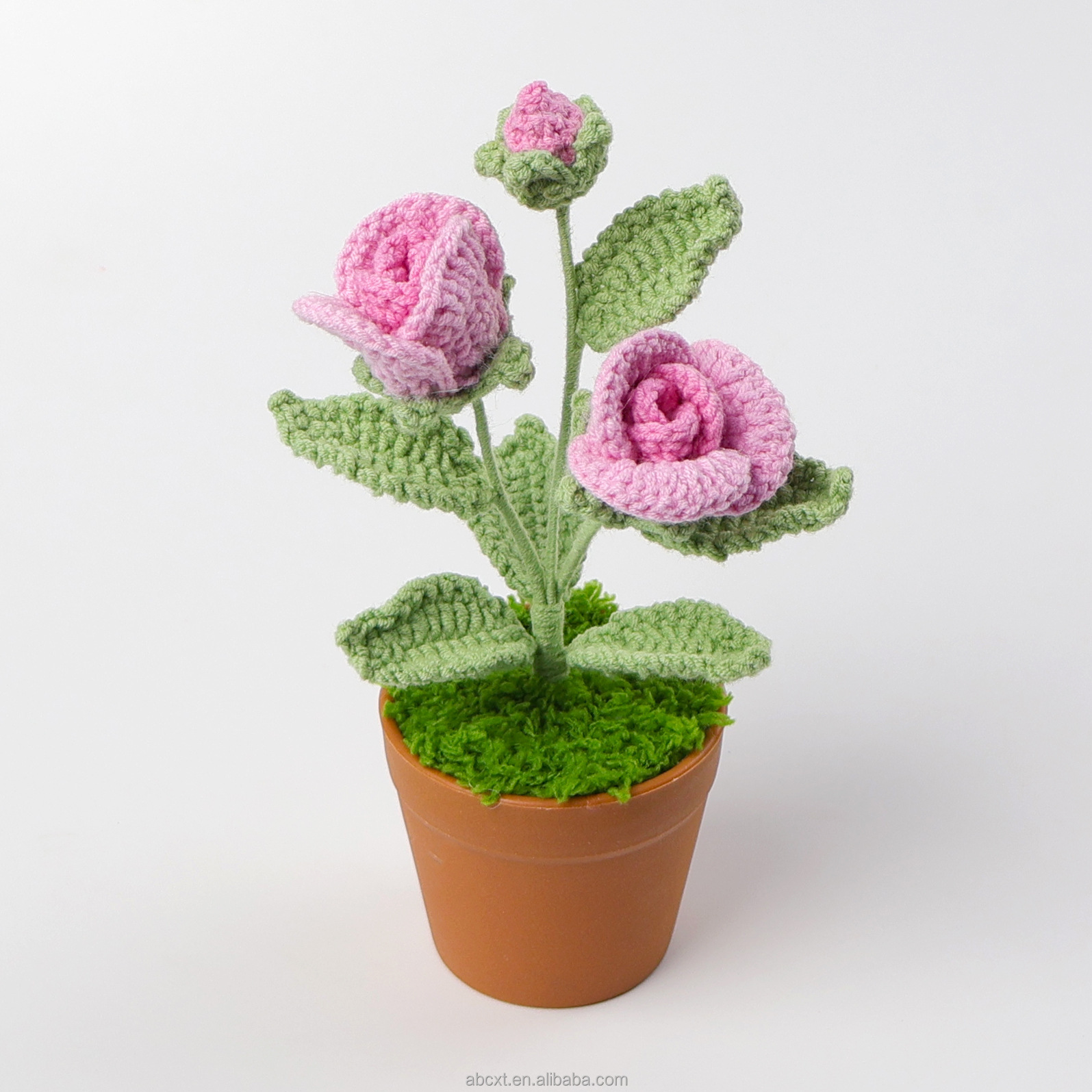 Rose vif