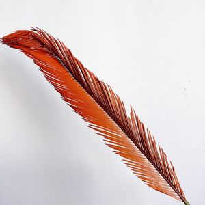 Foglie di Cycas Essiccate all'Ingrosso, Fogliame <span class=keywords><strong>Verde</strong></span> Naturale a Lunga Durata per Bouquet di Matrimonio, San Valentino e Capodanno Cinese, Decorazioni per la Casa - Product Image 4