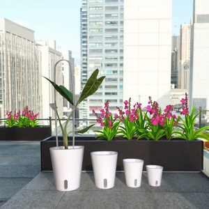 Pot Intérieur Transparent Auto-Arrosant en Plastique Écologique 12,5*15cm pour Plantes d'Intérieur – Blanc - Product Image 4