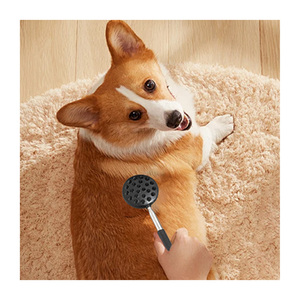 Đồ chơi massage thú cưng bằng thép không gỉ gấp gọn tương tác dành cho mèo, chó, thỏ - Thiết kế có thể kéo dài để huấn luyện và gắn kết tình cảm - Product Image 2