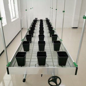 Banco de cultivo Bancos rodantes para <span class=keywords><strong>casa</strong></span> verde Bancos de cultivo rodantes - Product Image 6