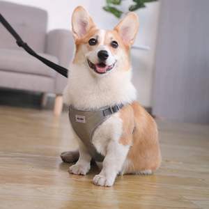 Ensemble de <span class=keywords><strong>harnais</strong></span> <span class=keywords><strong>pour</strong></span> petits chiens imperméable et respirant <span class=keywords><strong>pour</strong></span> chiots et chats gilet <span class=keywords><strong>harnais</strong></span> de marche <span class=keywords><strong>Yorkshire</strong></span> carlin laisse laisse <span class=keywords><strong>pour</strong></span> animaux de compagnie - Product Image 4