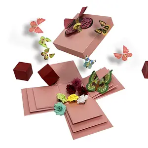 Подгонянный CMYK логотип фотографии Цветы конфетти взрыв сюрприз коробка взрыв с бабочкой