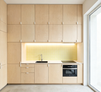 Ensemble d'armoires de cuisine sur mesure, cuisine avec rangement en hauteur pleine et four encastré pour appartement