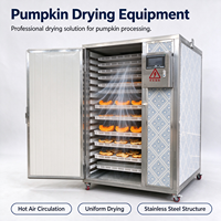 Pompoen-droogapparatuur, commerciële fruitdroogmachine, heteluchtcirculatieoven, roestvrijstalen voedseldroger