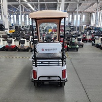 Vehículos Eléctricos de Carga al Mejor Precio, Camioneta Eléctrica con Control Remoto, Carrito de Golf en Oferta