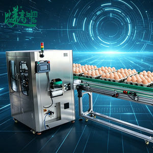Système d'inspection visuelle 6 faces pour l'emballage des plateaux à œufs avec rejet automatique des produits défectueux - Product Image 6