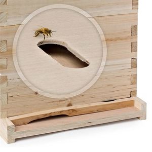 BEESTAR 2026 Promotion : Kit de <span class=keywords><strong>ruche</strong></span> Dadant personnalisée non assemblée de haute qualité – Équipement apicole en bois pour ferme - Product Image 4
