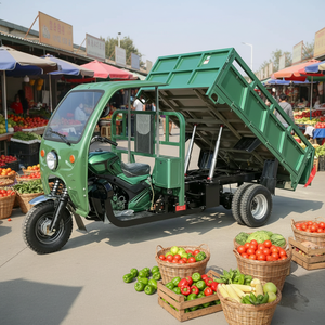 Tricycle motorisé 200CC à 3 roues pour le transport de marchandises, véhicule agricole à benne basculante <span class=keywords><strong>grande</strong></span> capacité pour la vente - Product Image 1
