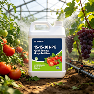 15-15-30 <span class=keywords><strong>NPK</strong></span> <span class=keywords><strong>Engrais</strong></span> rapide pour tomates et raisins 30% Potassium pour fruits plus gros, couleur plus riche, teneur en sucre améliorée, longue durée de conservation - Product Image 1
