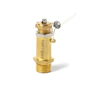 Standard Quality Spring Type Brass Gas Safety Valve for Air Compressor Exhaust Valve Pressure Relief Valve