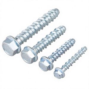 Ancre à expansion en acier inoxydable 304 1/4 3/8 1/2 5/8 3/4 - Product Image 1