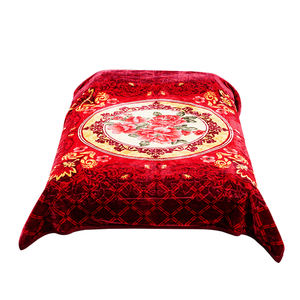 Manta Raschel con estampado de 2 capas, suave, sedosa y cálida, tamaño Queen, estilo coreano tejido con patrón de dibujos animados, estilo de visón falso - Product Image 5