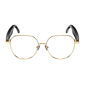 Lunettes Intelligentes 2025 W100B – Appels <span class=keywords><strong>Audio</strong></span> Bluetooth, Traduction Vocale IA en Temps Réel, Casque Portable Professionnel, Étanchéité IP67 AB5712F - Product Image 5