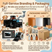 Suplemen Kesehatan Pernapasan Kunyah Lembut L-Lysine untuk Kucing Label Pribadi, Meningkatkan Imunitas, Penyerapan Cepat, Kemasan Aman
