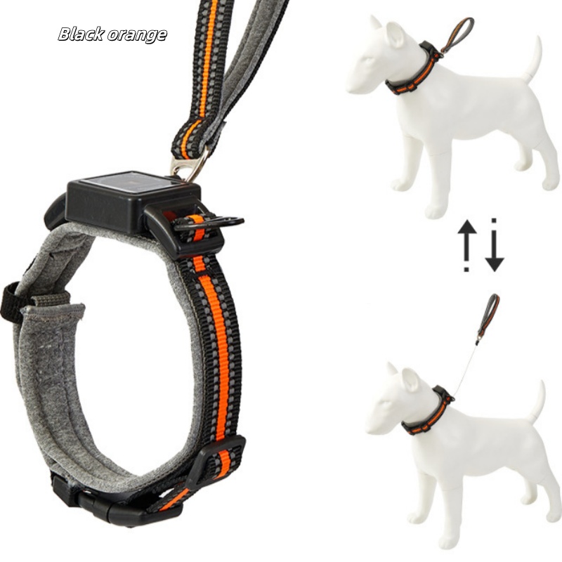 All-in-one Dog Collar with Retractable Leash - Anti-loss