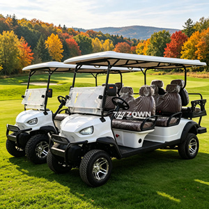 2026 Golf Cart 6 Seat Customizable Electric Golf Cart 48v/72v Voltage Golf with Luxury Seating Backseat - Product Image 1