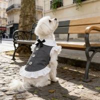 Accessoires pour animaux de compagnie : Robe en polyester pour animaux de compagnie, style jupe de princesse pour chat, tenue de mariage style britannique, pour le printemps et l'été
