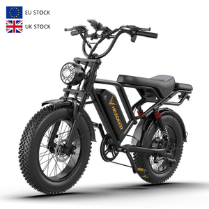 Bicicleta Eléctrica Vintage de Doble Asiento HEADEER BK20 de 20 Pulgadas con Neumáticos Anchos, Batería de 48V 20Ah, Motor de 750W y Velocidad Máxima de 50km/h, desde Almacén de la UE - Product Image 1