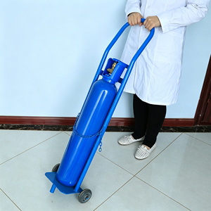 1. Chariot à roulettes en acier inoxydable de qualité médicale pour bouteille de gaz/oxygène avec roulettes silencieuses pour hôpital et clinique - Product Image 2