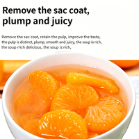 Segmentés d'orange mandarine en conserve 850g en sirop léger pour desserts de boulangerie, marque privée, taille personnalisée, fournisseur en gros
