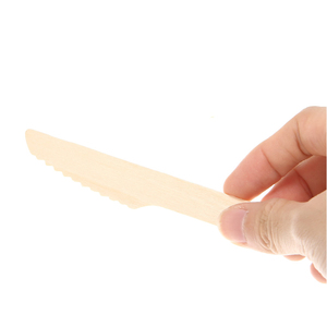 Cucchiaio Monouso in Legno di Betulla 16 Cm, Biodegradabile ed Ecologico, per Feste, Eventi e Catering - Product Image 4