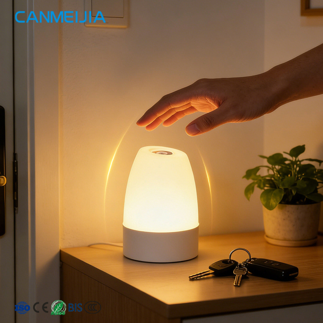 3 Color Temperature Adjustable Brightness Touch Remote Control Bedside Lamp Rechargeable LED Table Lamp Decorative Night Light