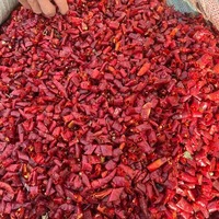 Anneaux de segments de piment fournis par le fabricant Piments cerises pour sauce à la marmite Collection d'épices et d'herbes uniques pour barbecue