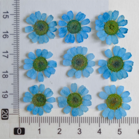 Blue-12pcs de lumière MH657-Dyed