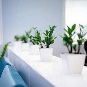 Pot à plantes à arrosage automatique 13 et jardinières Jardinage pratique et plus facile - Product Image 1