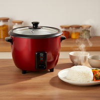 Cuisinière à riz électrique automatique portable de haute qualité, revêtement antiadhésif en plastique, 220V 240V, chauffage rapide pour un usage domestique
