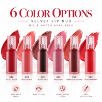 Teinte à lèvres veloutée longue tenue RTS 4ml, effet mat, 6 teintes, faible MOQ 2 pièces, vente en gros, logo personnalisé