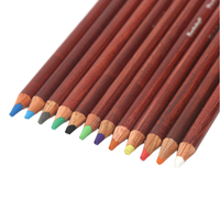 Keep Smiling - Ensemble de 12 crayons pastel doux - Crayons de couleur professionnels pour artistes et étudiants
