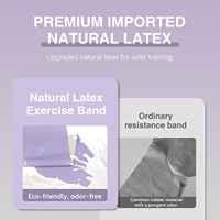 Bandas de Resistencia LADYGLOW de TPE, 41 Pulgadas, para Asistencia en Dominadas, Estiramiento, Entrenamiento, Yoga, Pilates, Venta al Por Mayor, Logotipo Personalizado