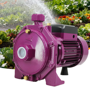 ZHELI <strong>Electric</strong> High Pressure Automotive Industry Centrifugal <strong>Pumps</strong> 28M Max Head Double Impeller Centrifugal <strong>Water</strong> <strong>Pump</strong> Cast Iron - Product Image 1