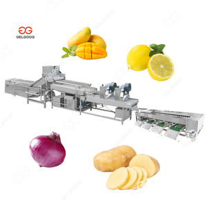 Máquina clasificadora de lavado de frutas y verduras con sistemas de detección de rayos X Lavadora eléctrica de frutas por lotes - Product Image 1