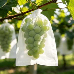 Tissu non tissé en polypropylène (PP) - Rouleau de tissu non tissé en PP - Matière première en polypropylène pour sacs de protection des fruits - Product Image 4
