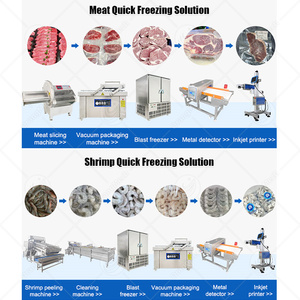 Congelatore Rapido Industriale Automatico <span class=keywords><strong>ORME</strong></span> con 6/30 Vassoi in Acciaio Inox e Motore -40°C per Pizza e Pesce - Product Image 2