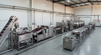 Volledig automatische productielijn voor gedroogde drakenvrucht (pitaya) met SUS304 vacuüm-lyofilisator voor de verwerking van fruitsnacks