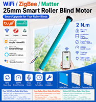 Moteur de store enrouleur intelligent Tuya WiFi ZigBee Matter 25 mm pour tubes de 37/38 mm, stores électriques avec contrôle par application