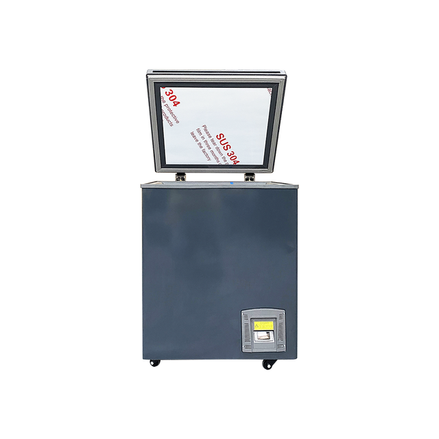 -60C New Style 110L Home Low Working Noise Ultra Low Temperature Chest Freezer DW-60W110