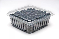 Boîte alimentaire en plastique transparente jetable ventilée avec logo personnalisé, emballage à clapet pour fruits, respectueuse de l'environnement et sûre