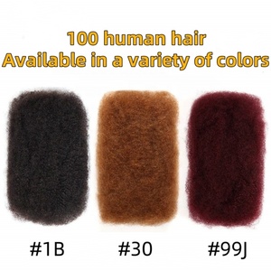 Extensions de cheveux humains vierges bruts non traités 100% Remy vietnamiens Afro Kinky Bulk pour la confection de locks et dreadlocks - Product Image 1