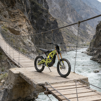 Prêt à être expédié : Vélo tout-terrain électrique Sur Ron Light Bee à grande vitesse, moto électrique Surron Light Bee X LBX