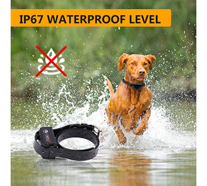 Waterproof Ipx7 Eco-Friendly Puppy Anti-Bark Multifunctional Training Collar <b>Vibration</b> Sound Static Shock Dog Training Collar - Product Image 5
