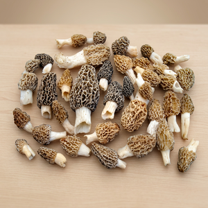 100% Morilles séchées pures d'Inde en vrac - Product Image 1