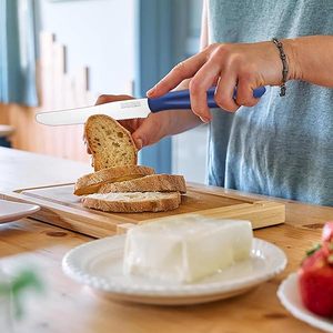 Ensemble de 6 couteaux de table en acier inoxydable Dinamik, longueur 10,7 cm, manche en PP bleu marine, passe au lave-vaisselle, coupe précise - Product Image 6